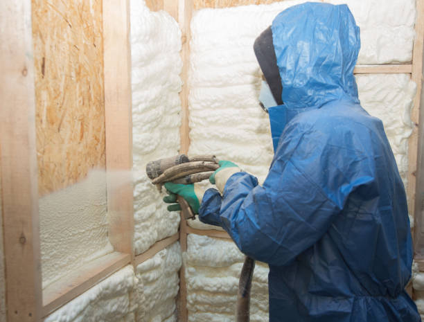 Professional Insulation in Aventura, FL